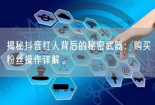 揭秘抖音红人背后的秘密武器：购买粉丝操作详解。