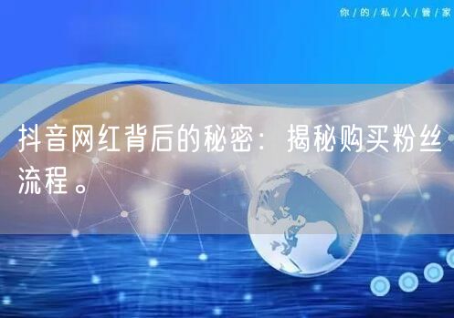 抖音网红背后的秘密：揭秘购买粉丝流程。