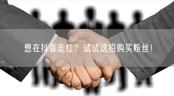 想在抖音走红？试试这招购买粉丝！
