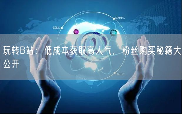 玩转B站：低成本获取高人气，粉丝购买秘籍大公开