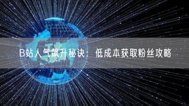 B站人气飙升秘诀：低成本获取粉丝攻略