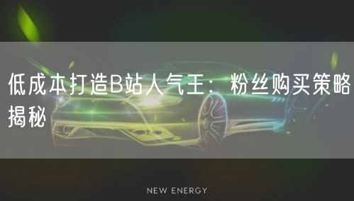 低成本打造B站人气王：粉丝购买策略揭秘