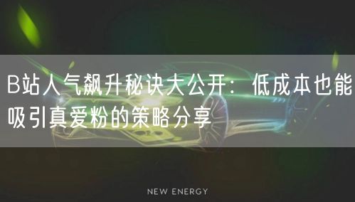 B站人气飙升秘诀大公开：低成本也能吸引真爱粉的策略分享
