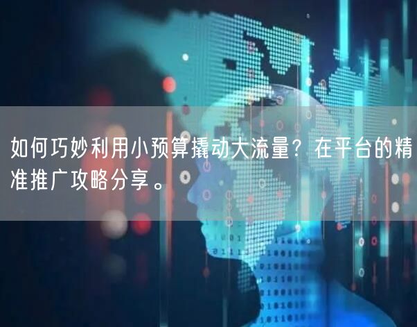 如何巧妙利用小预算撬动大流量？在平台的精准推广攻略分享。