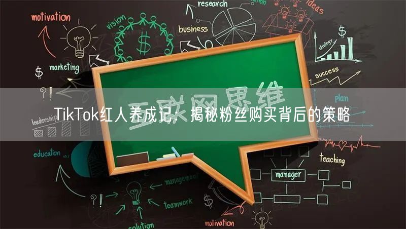 TikTok红人养成记：揭秘粉丝购买背后的策略