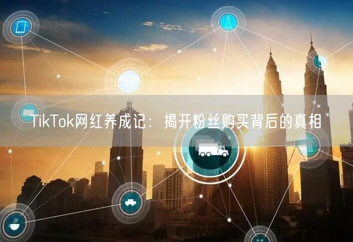 TikTok网红养成记：揭开粉丝购买背后的真相