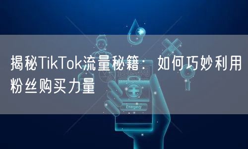 揭秘TikTok流量秘籍：如何巧妙利用粉丝购买力量