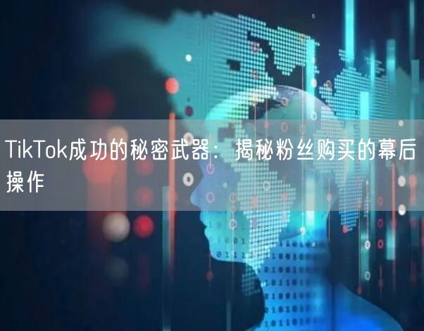 TikTok成功的秘密武器：揭秘粉丝购买的幕后操作