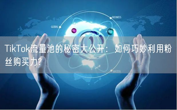 TikTok流量池的秘密大公开：如何巧妙利用粉丝购买力?
