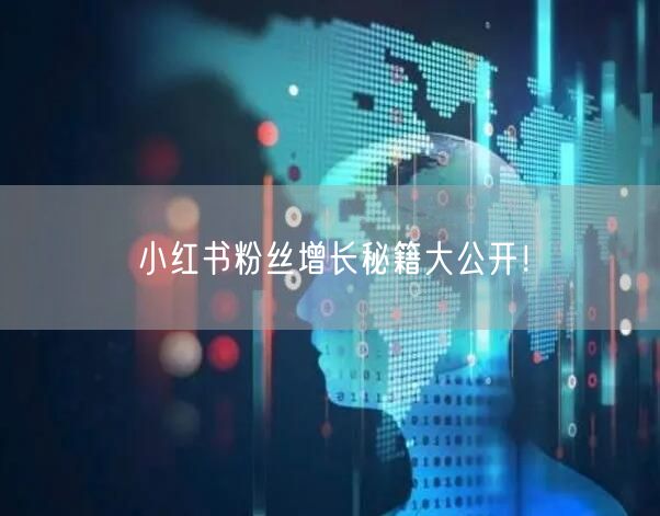 小红书粉丝增长秘籍大公开！