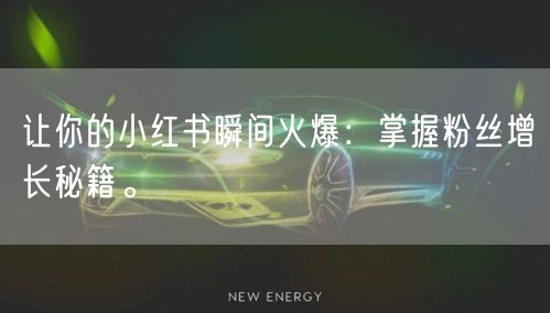 让你的小红书瞬间火爆：掌握粉丝增长秘籍。