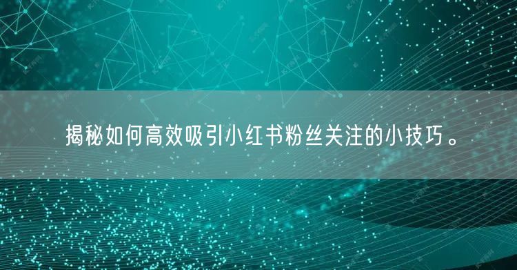揭秘如何高效吸引小红书粉丝关注的小技巧。