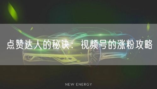 点赞达人的秘诀：视频号的涨粉攻略