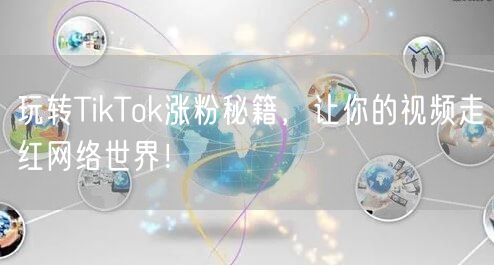 玩转TikTok涨粉秘籍，让你的视频走红网络世界！