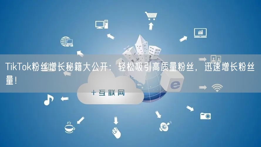 TikTok粉丝增长秘籍大公开：轻松吸引高质量粉丝，迅速增长粉丝量！