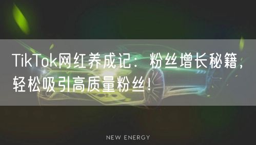 TikTok网红养成记：粉丝增长秘籍，轻松吸引高质量粉丝！