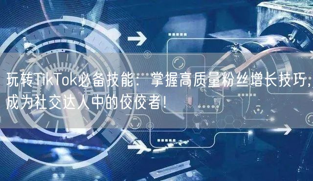 玩转TikTok必备技能：掌握高质量粉丝增长技巧，成为社交达人中的佼佼者！