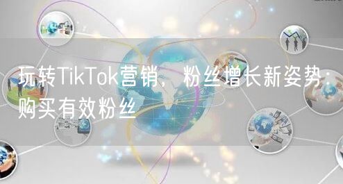 玩转TikTok营销，粉丝增长新姿势：购买有效粉丝