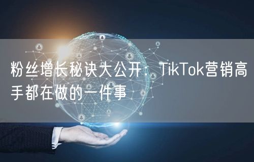 粉丝增长秘诀大公开：TikTok营销高手都在做的一件事