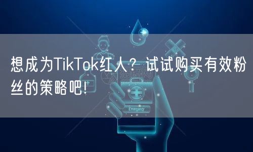 想成为TikTok红人？试试购买有效粉丝的策略吧!