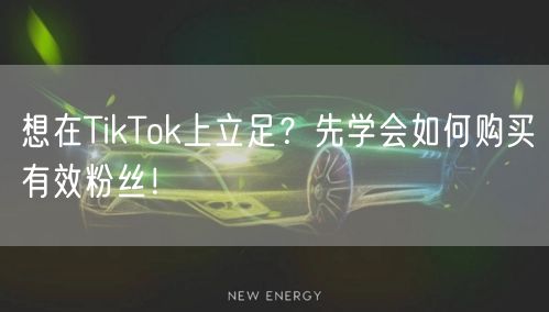 想在TikTok上立足？先学会如何购买有效粉丝！