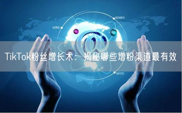 TikTok粉丝增长术：揭秘哪些增粉渠道最有效