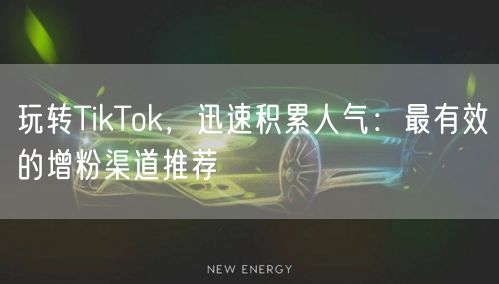 玩转TikTok，迅速积累人气：最有效的增粉渠道推荐