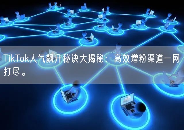 TikTok人气飙升秘诀大揭秘：高效增粉渠道一网打尽。