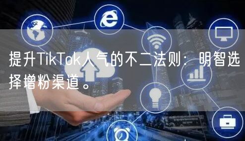 提升TikTok人气的不二法则：明智选择增粉渠道。