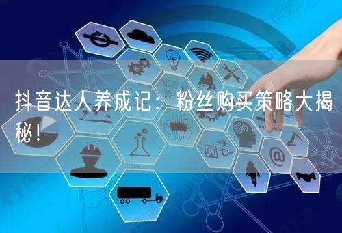 抖音达人养成记：粉丝购买策略大揭秘！