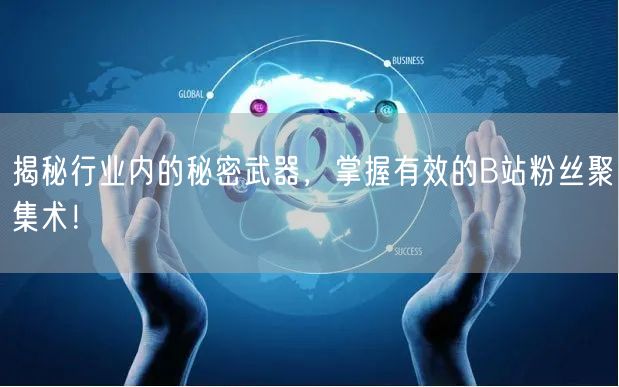 揭秘行业内的秘密武器，掌握有效的B站粉丝聚集术！