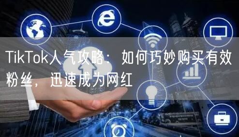 TikTok人气攻略：如何巧妙购买有效粉丝，迅速成为网红