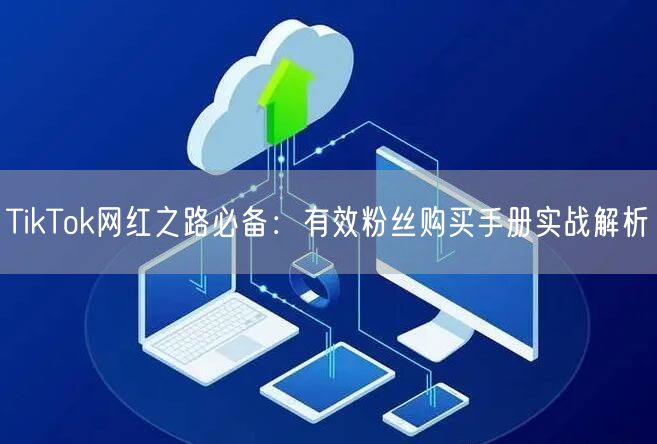TikTok网红之路必备：有效粉丝购买手册实战解析