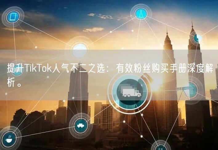 提升TikTok人气不二之选：有效粉丝购买手册深度解析。