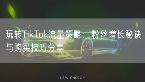 玩转TikTok流量策略：粉丝增长秘诀与购买技巧分享