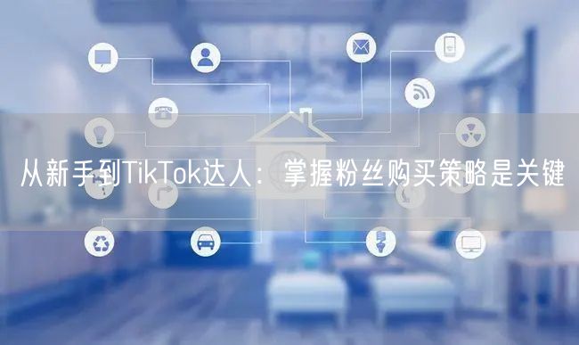 从新手到TikTok达人：掌握粉丝购买策略是关键