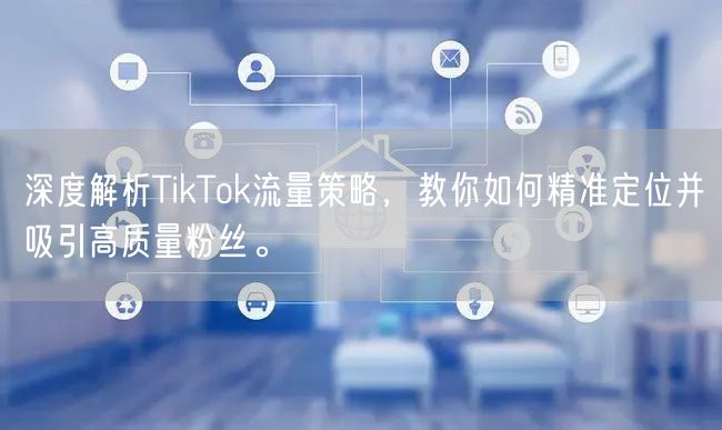 深度解析TikTok流量策略，教你如何精准定位并吸引高质量粉丝。