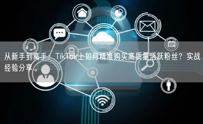 从新手到高手：TikTok上如何精准购买高质量活跃粉丝？实战经验分享。