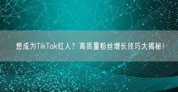 想成为TikTok红人?高质量粉丝增长技巧大揭秘!
