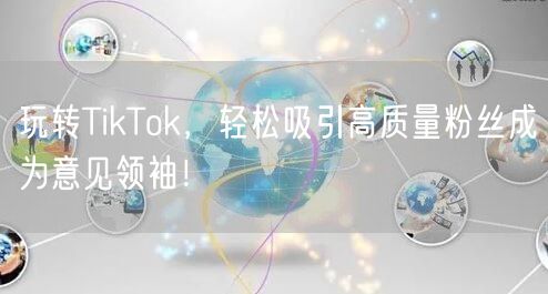 玩转TikTok，轻松吸引高质量粉丝成为意见领袖！