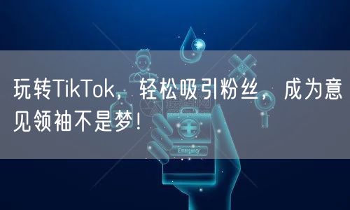 玩转TikTok，轻松吸引粉丝，成为意见领袖不是梦！