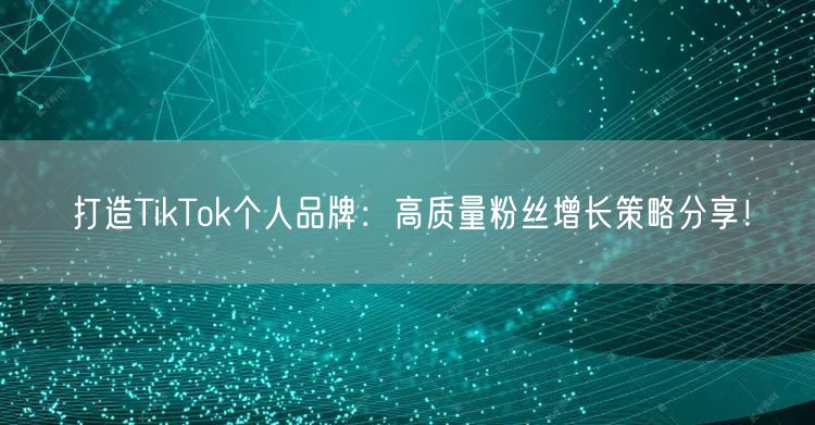 打造TikTok个人品牌：高质量粉丝增长策略分享！