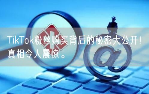 TikTok粉丝购买背后的秘密大公开！真相令人震惊。