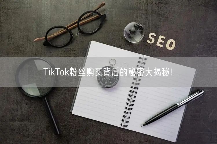 TikTok粉丝购买背后的秘密大揭秘！
