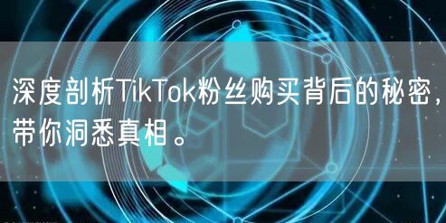 深度剖析TikTok粉丝购买背后的秘密，带你洞悉真相。