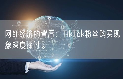 网红经济的背后：TikTok粉丝购买现象深度探讨。