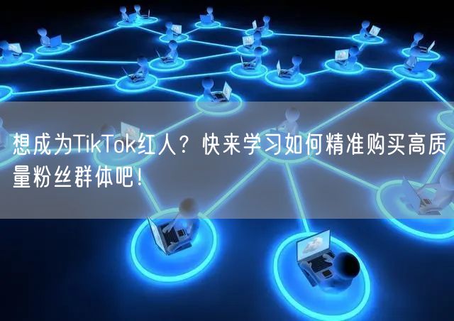 想成为TikTok红人？快来学习如何精准购买高质量粉丝群体吧！