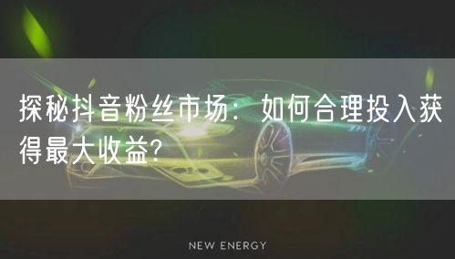 探秘抖音粉丝市场：如何合理投入获得最大收益?