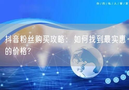 抖音粉丝购买攻略：如何找到最实惠的价格?