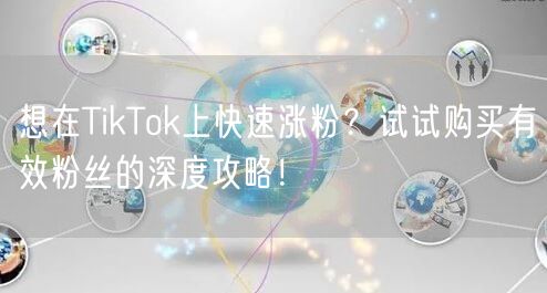 想在TikTok上快速涨粉？试试购买有效粉丝的深度攻略！